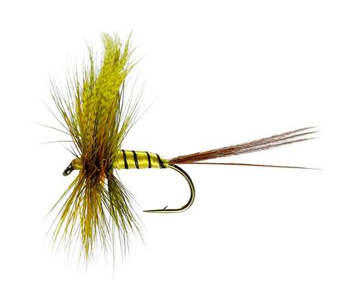 Erne Special Mayfly Dry #10