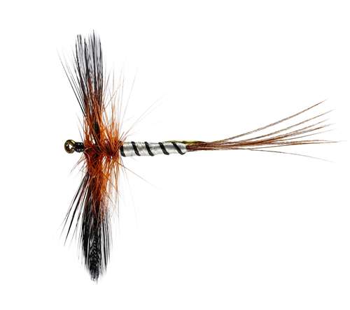 Caledonia Flies Spent Brown Mayfly Dry #10 Fishing Fly
