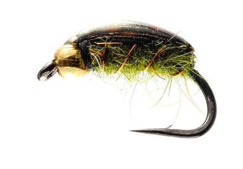 Caledonia Flies Hog Louce Gold Bead #10 Fishing Fly