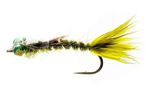 Caledonia Flies Damsel Flashback Gold Bead #12 Fishing Fly