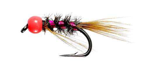 Caledonia Flies Pink Diawl Bach #12 Fishing Fly Barbed