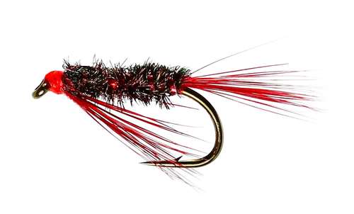 Fly Fishing Trout Flies 3x sz 12 Red Holo Black pseudo diawl Bach 