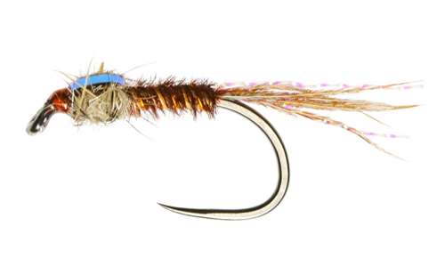 Caledonia Flies Coves Ptn (Unweighted) Barbless #12 Fishing Fly