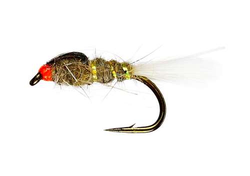 Caledonia Flies Grhe Living Nymph (Unweighted) #12 Fishing Fly