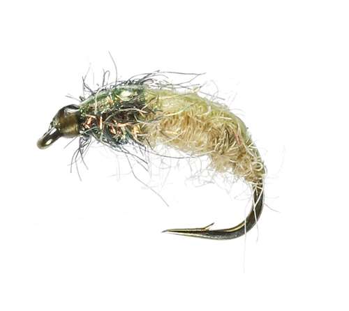 Caledonia Flies Glister Grub (Weighted) #12 Fishing Fly