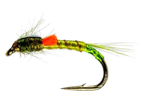 Caledonia Flies Olive Quill Orange Flash Back Buzzer #12 Fishing Fly
