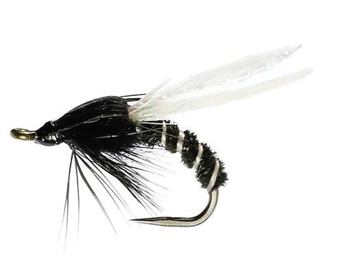 Caledonia Flies Black Adult Buzzer Barbless #12 Fishing Fly