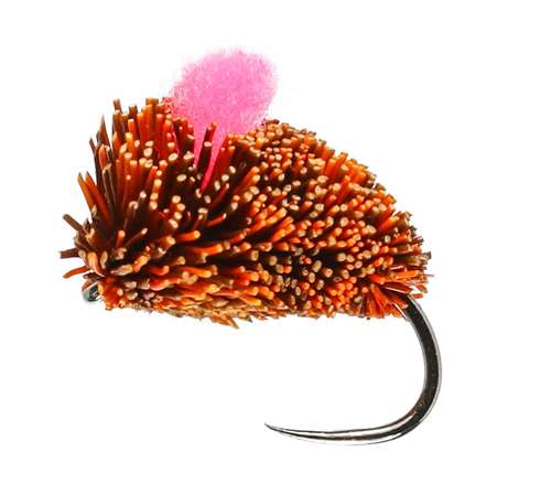 Caledonia Flies Carp Ginger Dog Biscuit Barbless #10 Fishing Fly