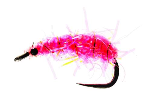 Caledonia Flies Pink Shrimper Barbless #10 Fishing Fly