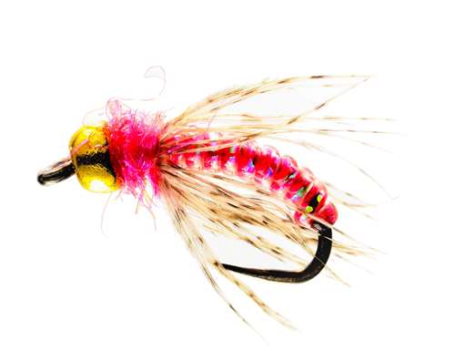 Caledonia Flies Ben's Bug Barbless #10 Fishing Fly