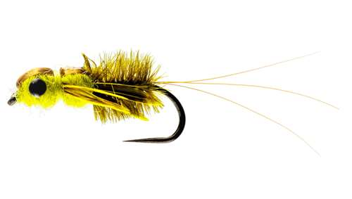 Caledonia Flies Heptagenid Stone Fly Nymph Barbless #12 Fishing Fly