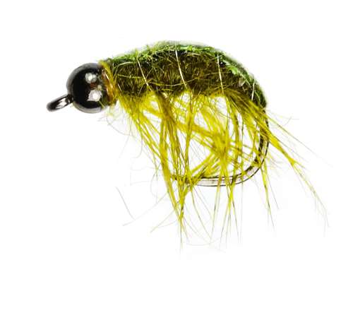 Caledonia Flies Deep Diving Shrimp Tungsten Bead Nymph Barbless #10 Fishing Fly