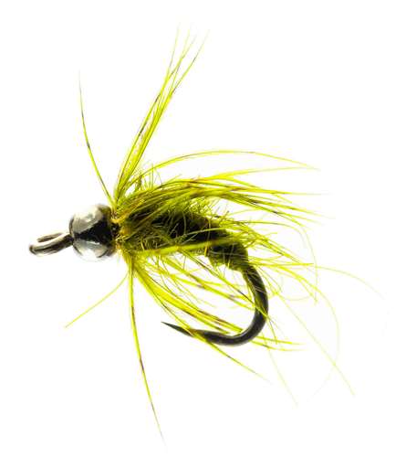 Caledonia Flies Pupa Olive Nymph Barbless #16 Fishing Fly