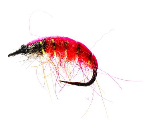 Caledonia Flies Czech Pink Nymph Barbless #10 Fishing Fly