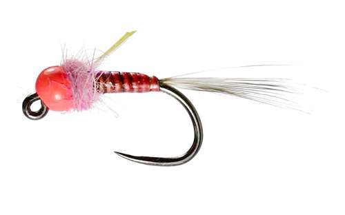 Caledonia Flies Pink Quill Nymph Barbless #14 Fishing Fly