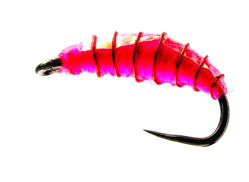 Caledonia Flies S.P. Bomb Barbless #10 Fishing Fly