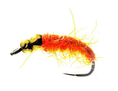Caledonia Flies Orange Bomb Tung Bug Barbless #10 Fishing Fly