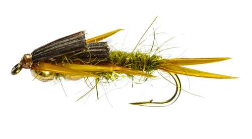 Caledonia Flies Olive Creeper Nymph #12 Fishing Fly