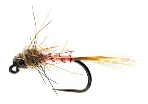 Caledonia Flies Mcphail's Grayling Jig Barbless #14 Fishing Fly