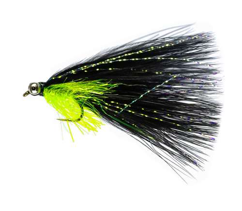 Caledonia Flies Black Cats Whisker #10 Fishing Fly