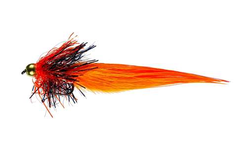 Caledonia Flies Gold Bead Fire Tail #10 Fishing Fly