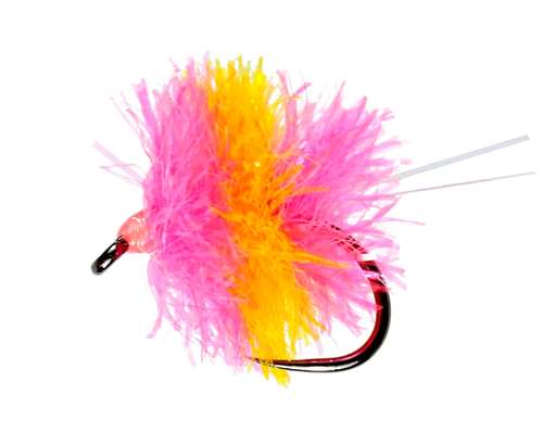 Caledonia Flies Blob Candy Barbless #10 Fishing Fly