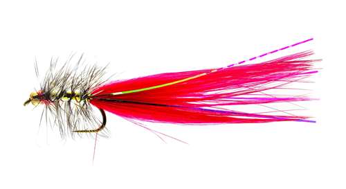 Caledonia Flies Red Dancer #10 Fishing Fly Barbed Nymph Fly