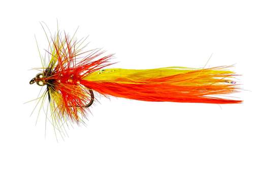 Caledonia Flies Fire Dancer #10 Fishing Fly Barbed Nymph Fly