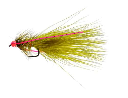 Caledonia Flies Olive Hotty #8 Fishing Fly Barbed Nymph Fly