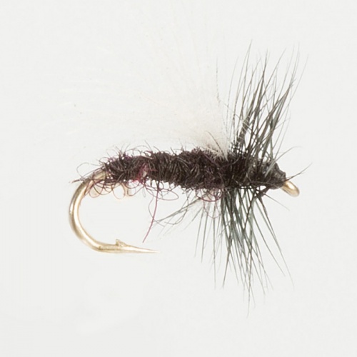 The Essential Fly Dace Cdc Black Gnat Fishing Fly