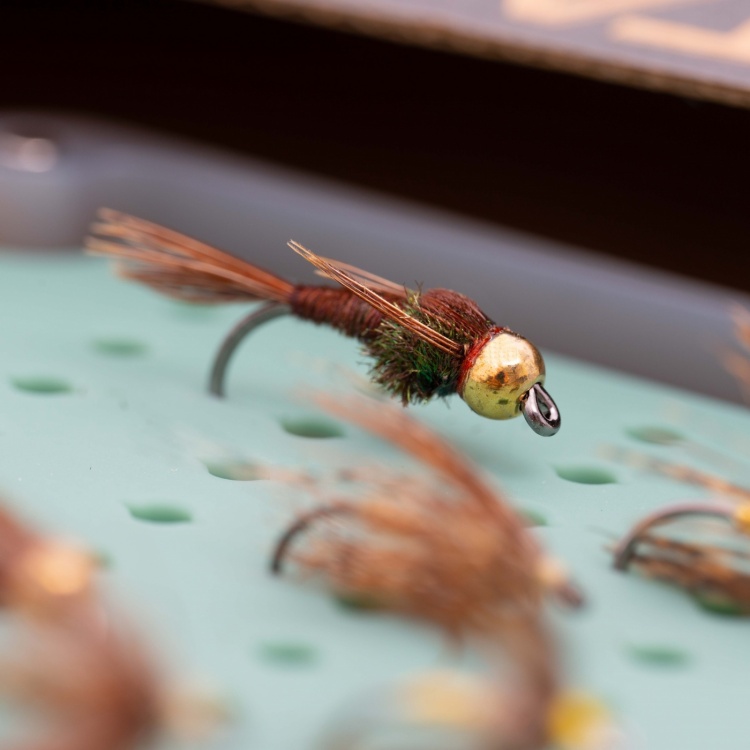 Caledonia Flies March Brown Selection Fly Box Fishing Fly Assortment