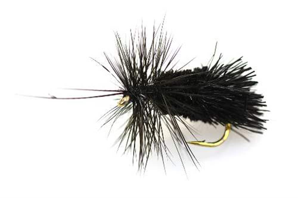The Essential Fly Black Caddis Fishing Fly