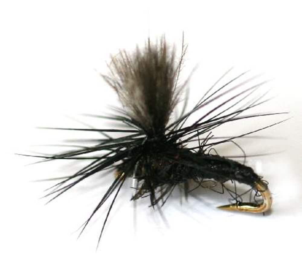 The Essential Fly Black Gnat Fishing Fly