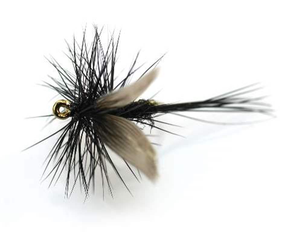 The Essential Fly Black Gnat Fishing Fly
