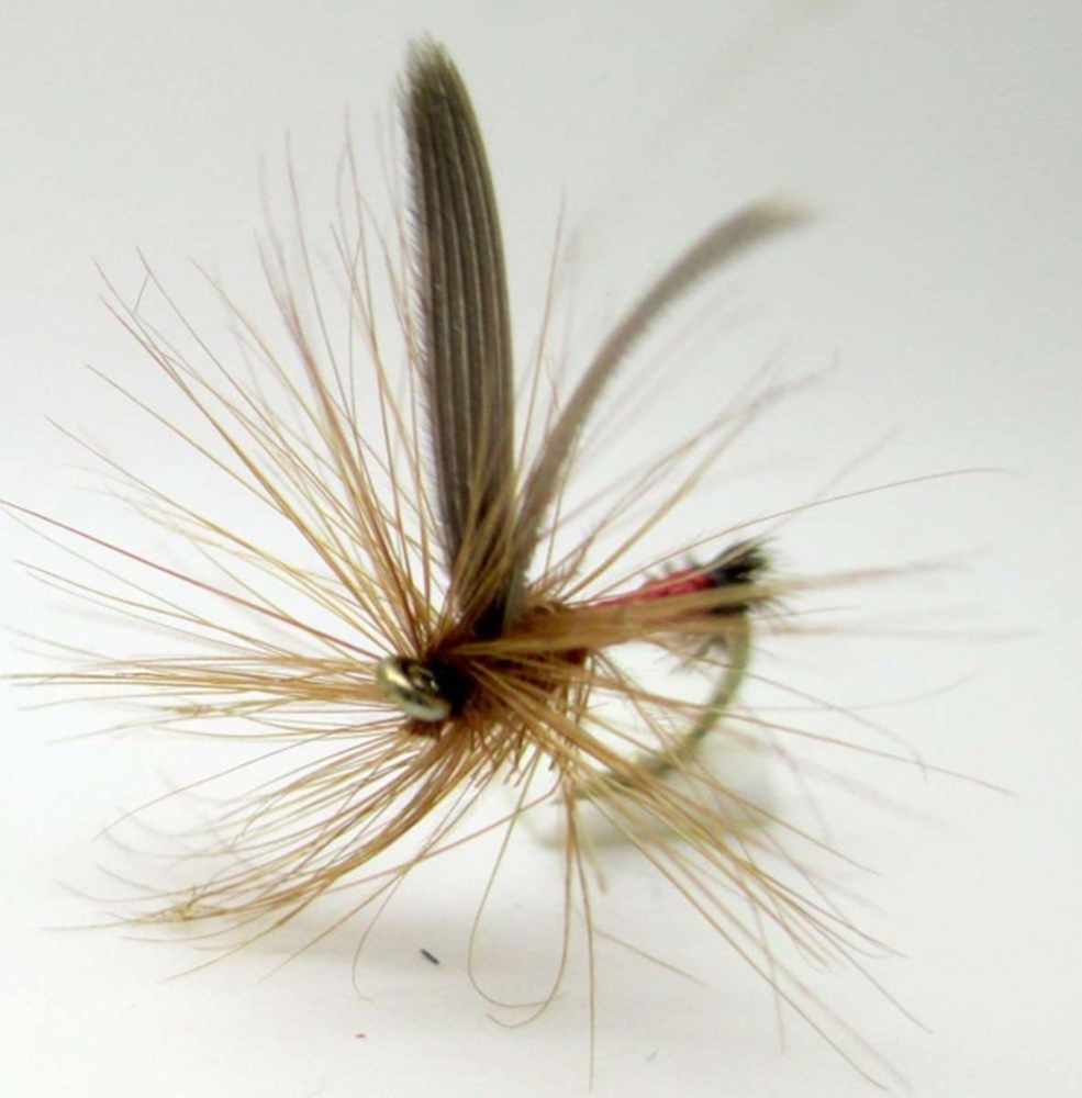 The Essential Fly Red Tag Fishing Fly