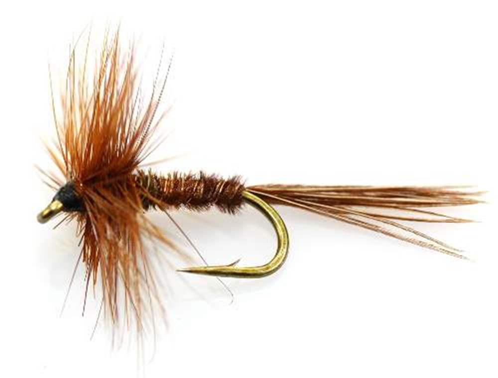 The Essential Fly Pheasant Tail Fishing Fly