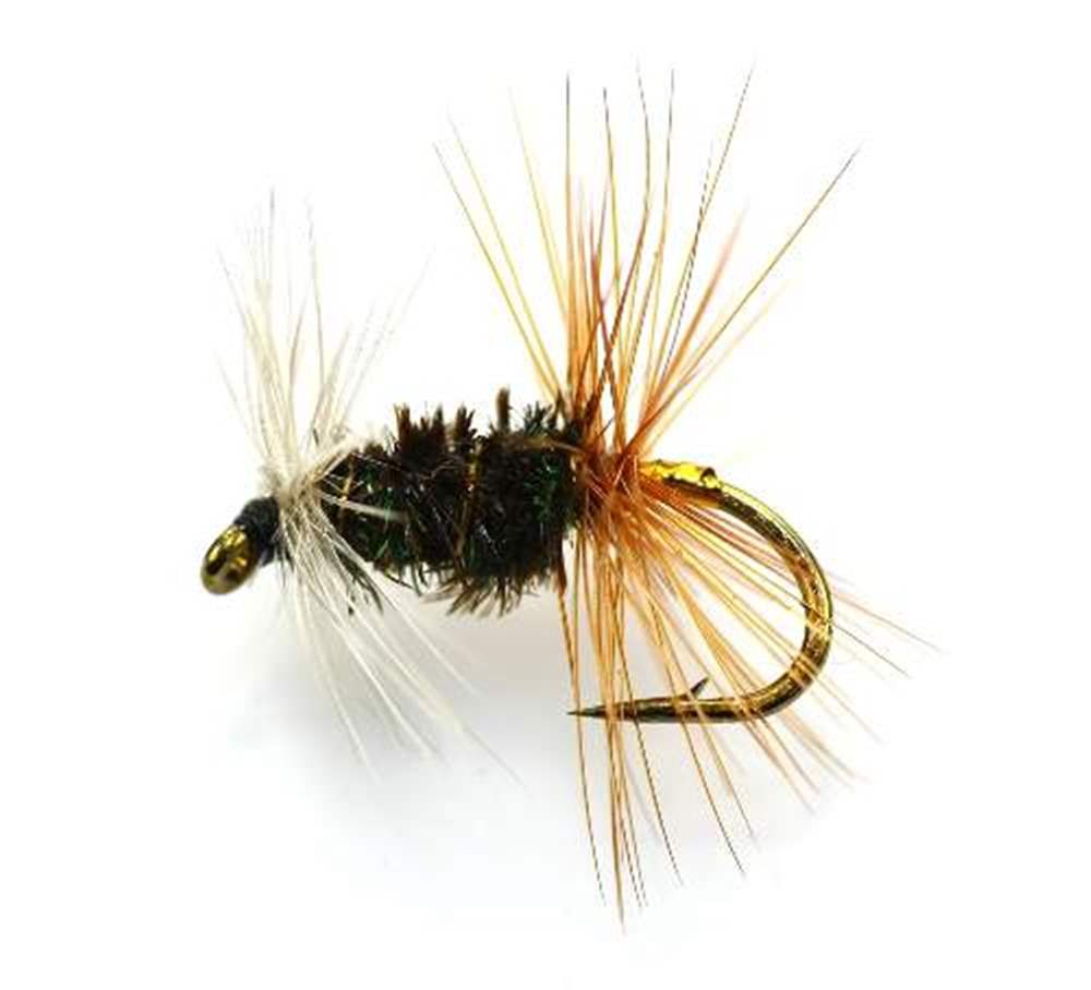The Essential Fly Renegade Fishing Fly