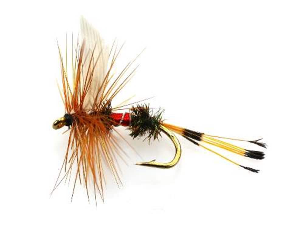 The Essential Fly Royal Coachman Fishing Fly