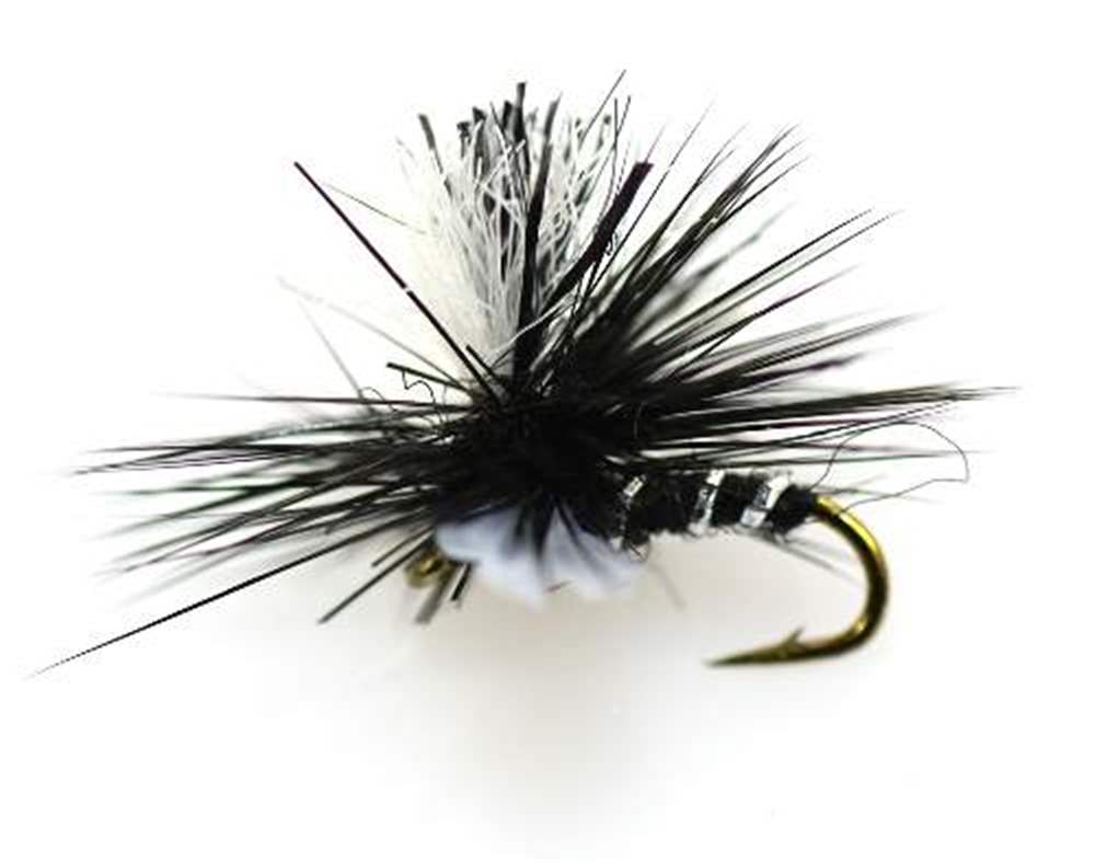 The Essential Fly Spinner Black Fishing Fly