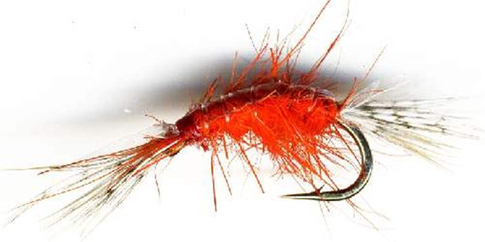 The Essential Fly Polish Shrimp Orange Fishing Fly