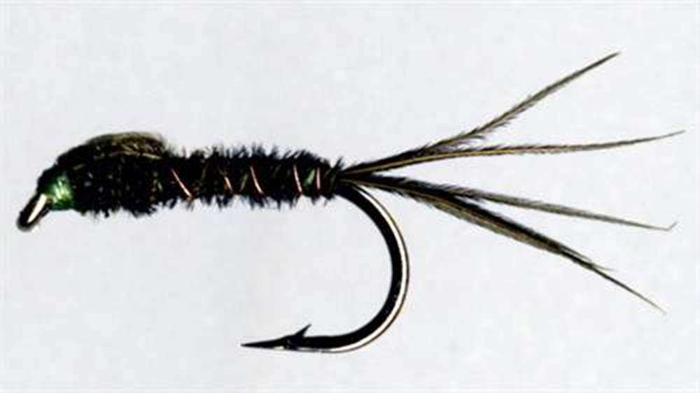 The Essential Fly Sawyer Black Fishing Fly