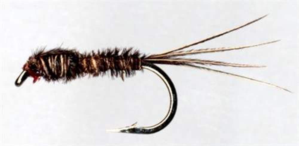 The Essential Fly Sawyer Original Pheasant Tail Fishing Fly