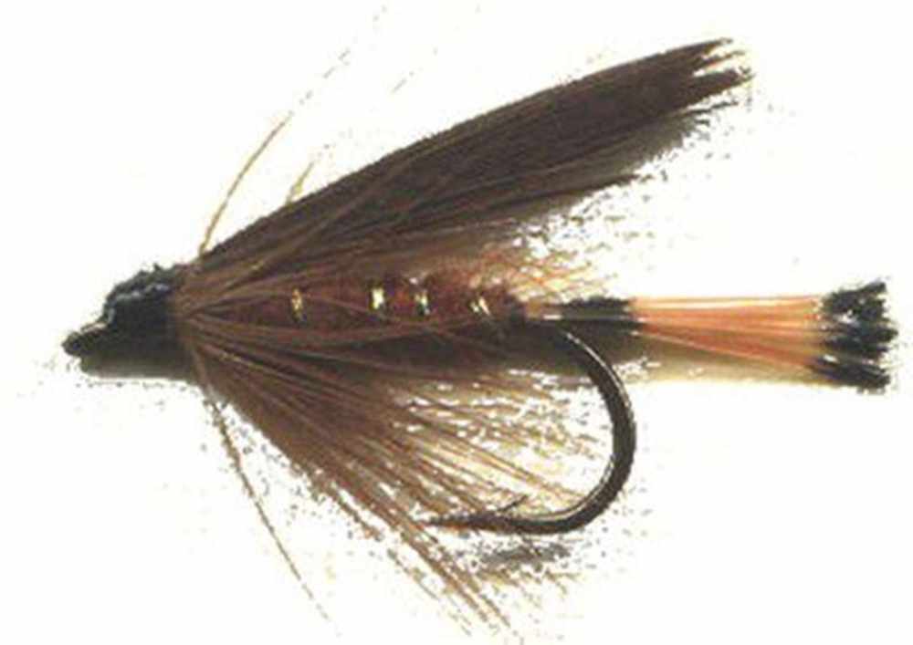 Trout Patterns of Winged Wet Flies