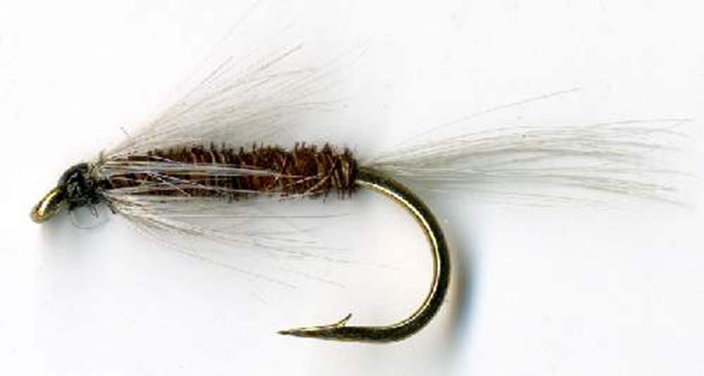The Essential Fly Pheasant Tail Spider Fishing Fly