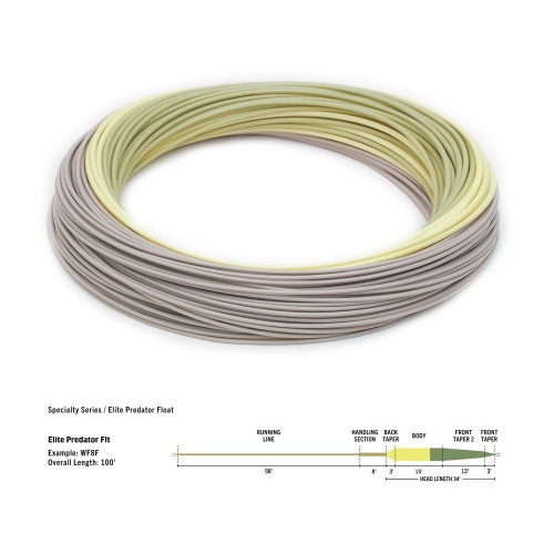 Rio Products Elite Predator Floating (Weight Forward) Wf7 Fly Line (Length 100ft / 30m)