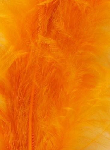 Veniard Dye Bag Bulk 100G Ginger Fly Tying Material Dyes