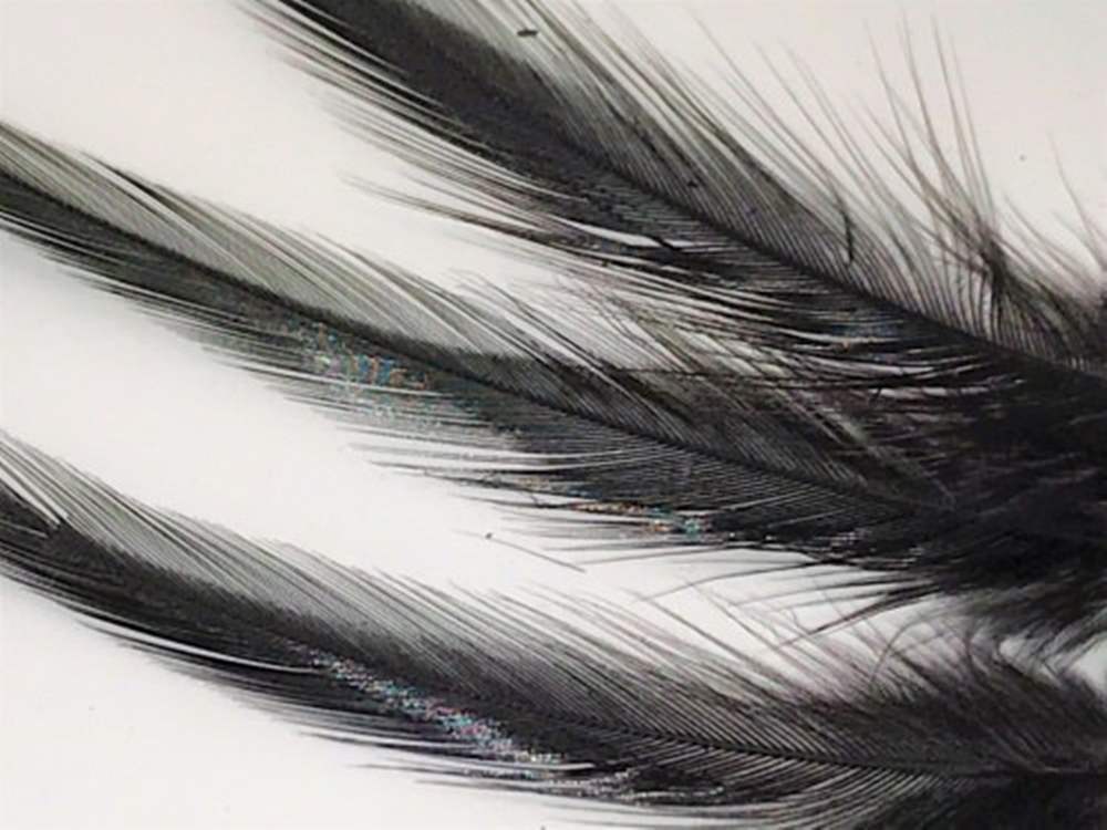 Veniard Loose Short Cock Feather Hackles 2 Gram Black Fly Tying Materials