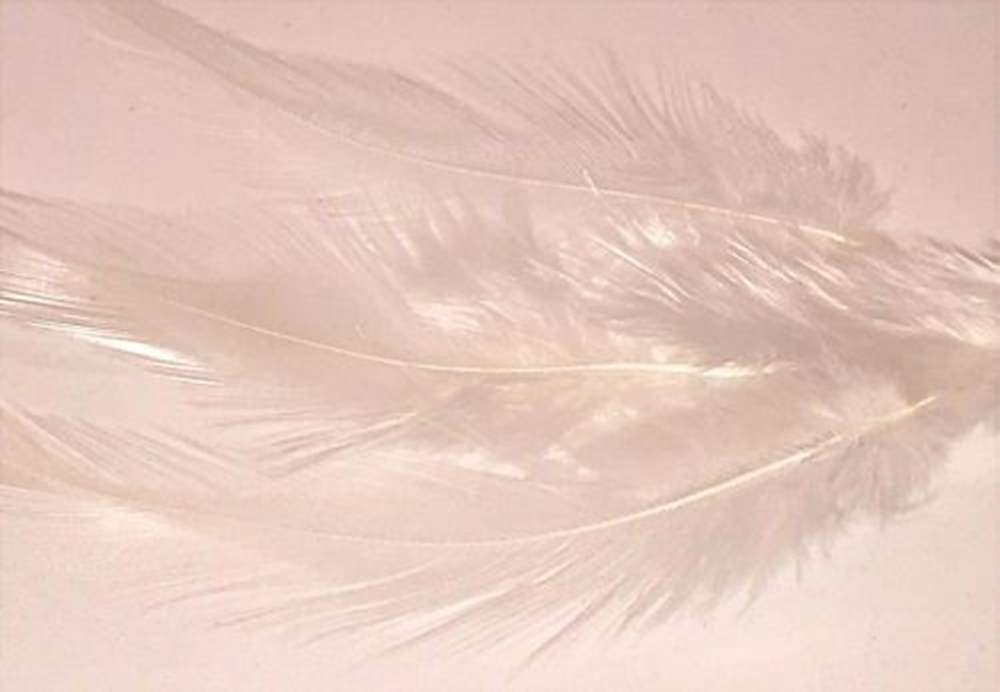 Veniard Loose Short Cock Feather Hackles 1 Gram Bleached White Fly Tying Materials