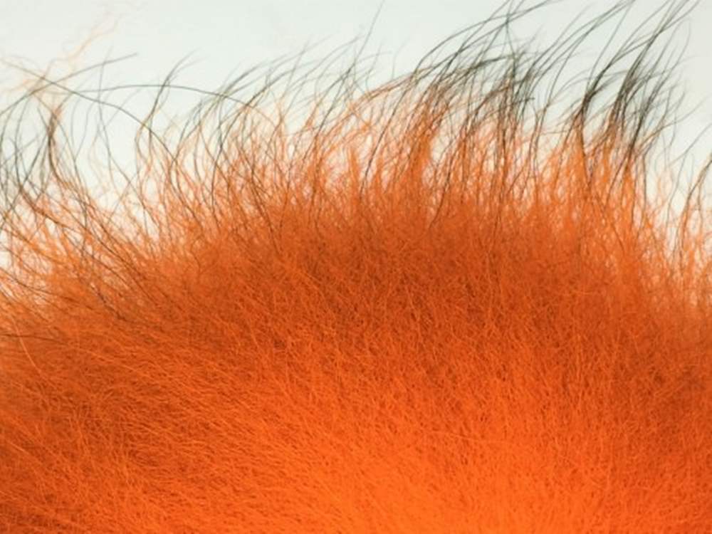 Arctic Fisherman Mutation Fox Orange
