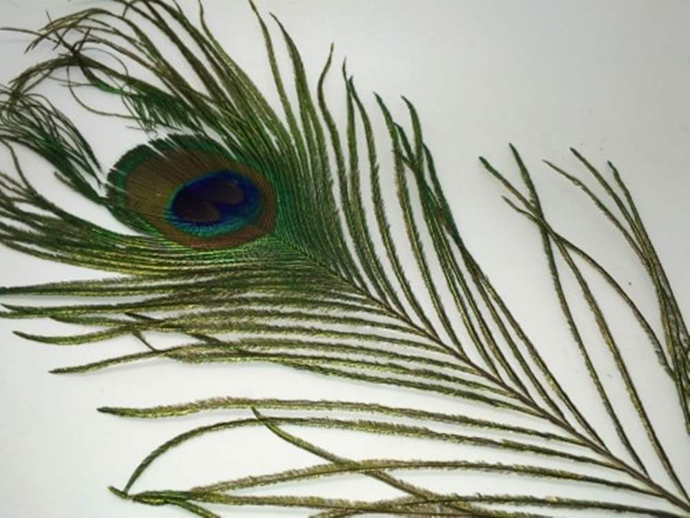 Veniard Peacock Eye Top Natural Fly Tying Materials